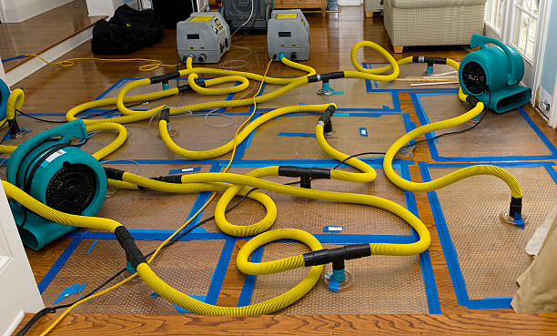 Professional Burst Pipe Water Damage technician working in Edinburg, TX